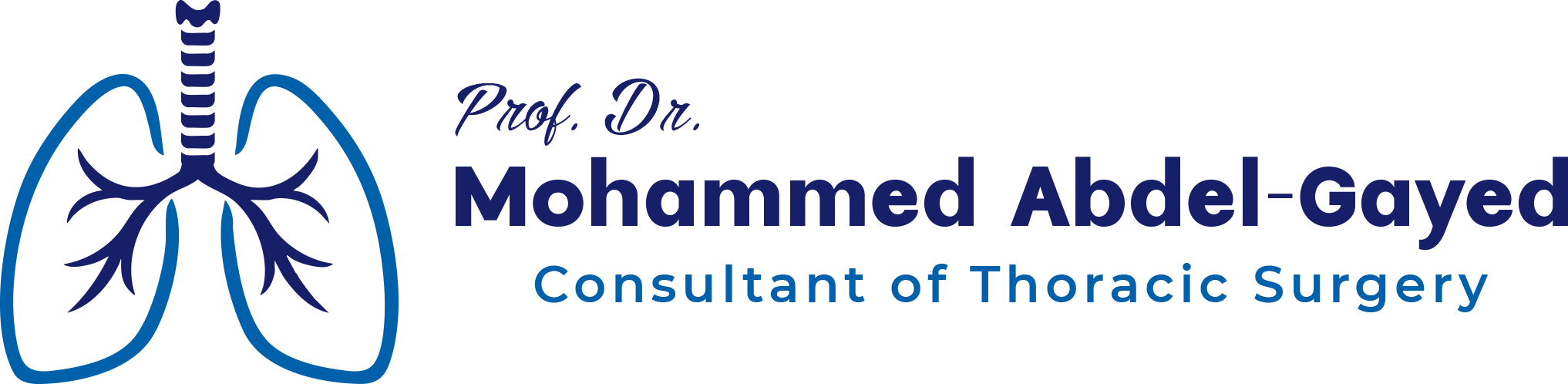 Dr Mohammed Abdelgayed